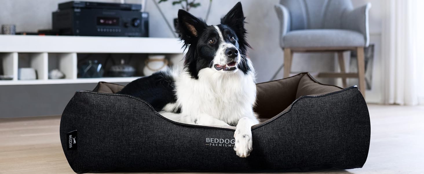 Преміум ортопедичне ліжко для собак BedDog Clara, м'яке ліжко-кімнатна подушка знімним чохлом, ковдра в подарунок - Rock (сірий) L 110 x B 75 x H 25 см ROCK (сірий)