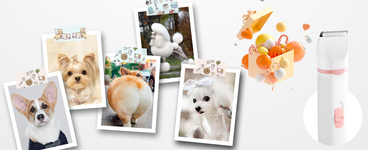 Airminti 4-в-1 Безшумна машинка для стрижки шерсті котів, USB-зарядка, 4 змінні насадки, машинка для собак, для догляду за очима/вухами/лапами/нігтями (Блакитна)