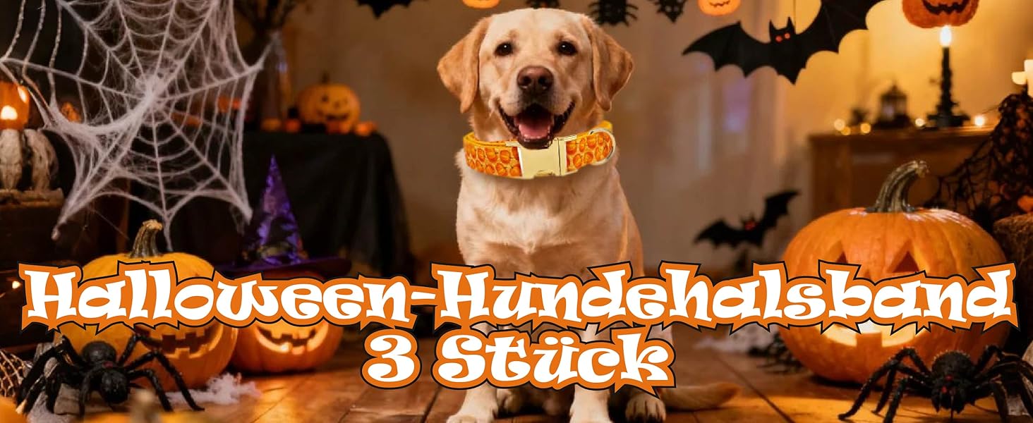 Персоналізоване собаче ошийник з металевою застібкою, двостороннє оксамитове ошийник з іменем та номером телефону, регульовані розміри для собак маленьких, середніх та великих порід (на Хелловін)