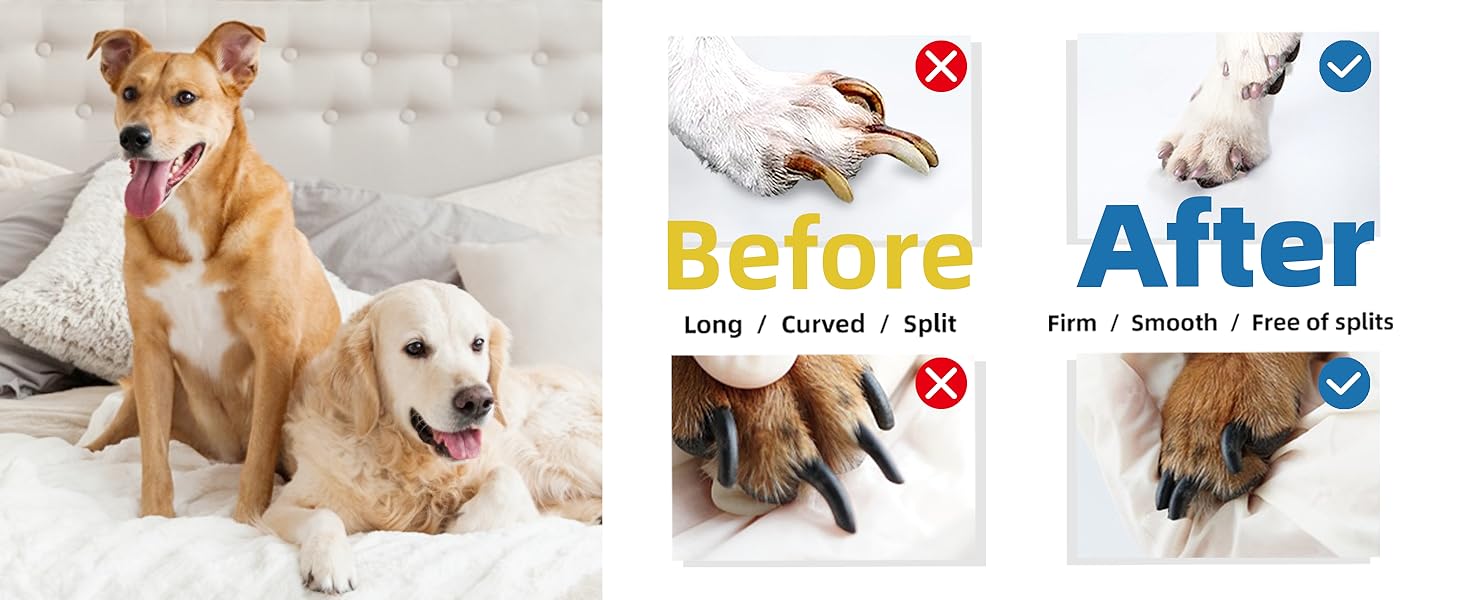 Електричний точилка для кігтів собак та котів Casfuy - 6 режимів, 45 dB, з LED-підсвічуванням, для великих, середніх та маленьких тварин, з захистом від пилу, блакитний