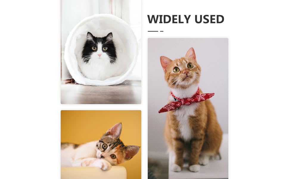 Транспортувальна сумка для собак та котів BESPORTBLE - легка, дихаюча, з регульованим ременем, легко миється