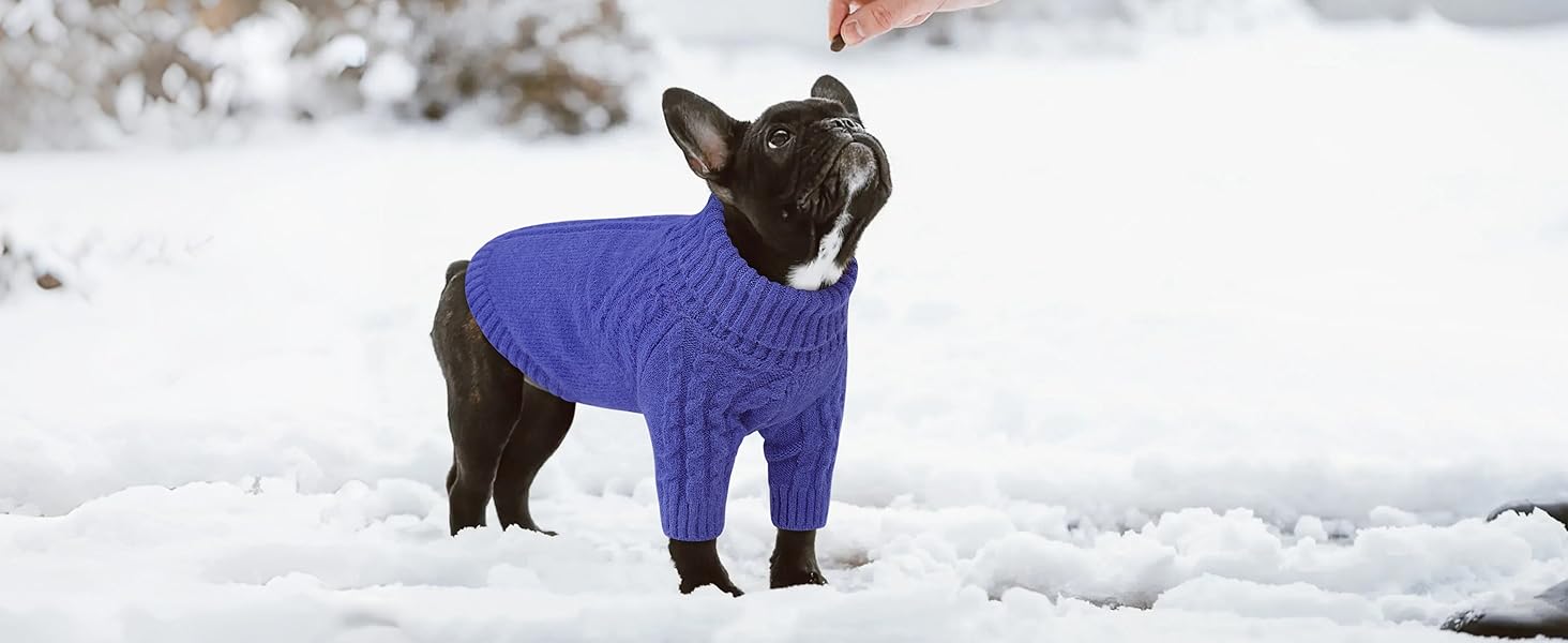 Теплий пуловер для собак Queenmore: Дакель, Французький бульдог, Бігль, Шнауцер (зелений, M)