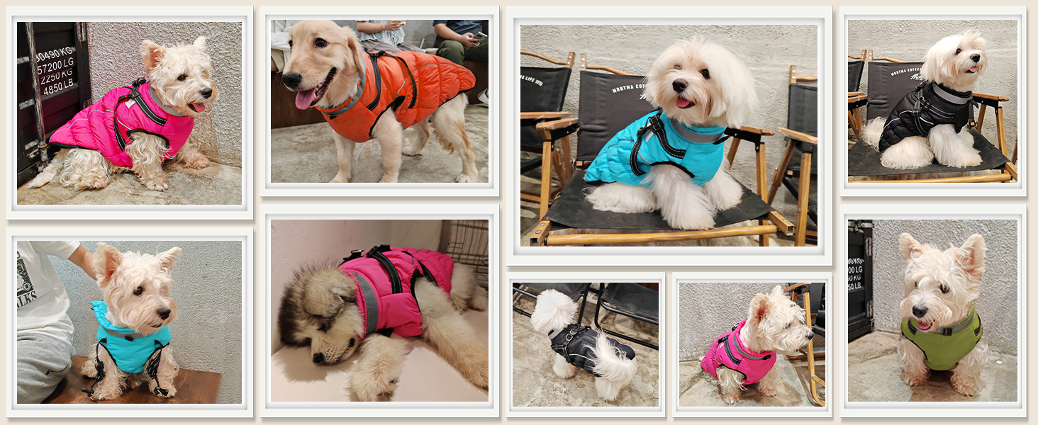 Зимовий одяг для собак: теплий, водонепроникний зимовий одяг з дзвоником, світловідбиваючі смуги, LED-ошийник, для маленьких та середніх собак (зелений, XL)