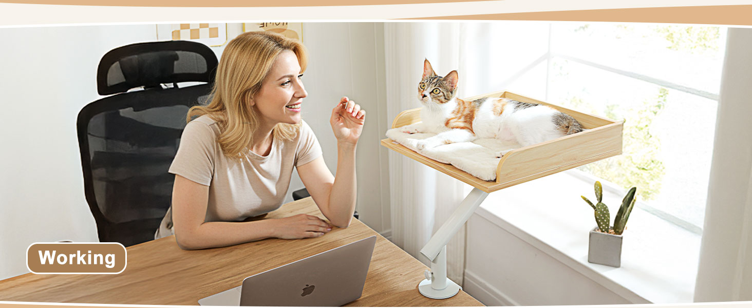 PAWZ Road: ліжко для кота на стіл, дерев'яне ліжко для котів, кошик для котів, 360° обертання та регулювання висоти, гамак для котів для дряпання, підтримує до 23 кг (Бежевий, прямокутне дерево)