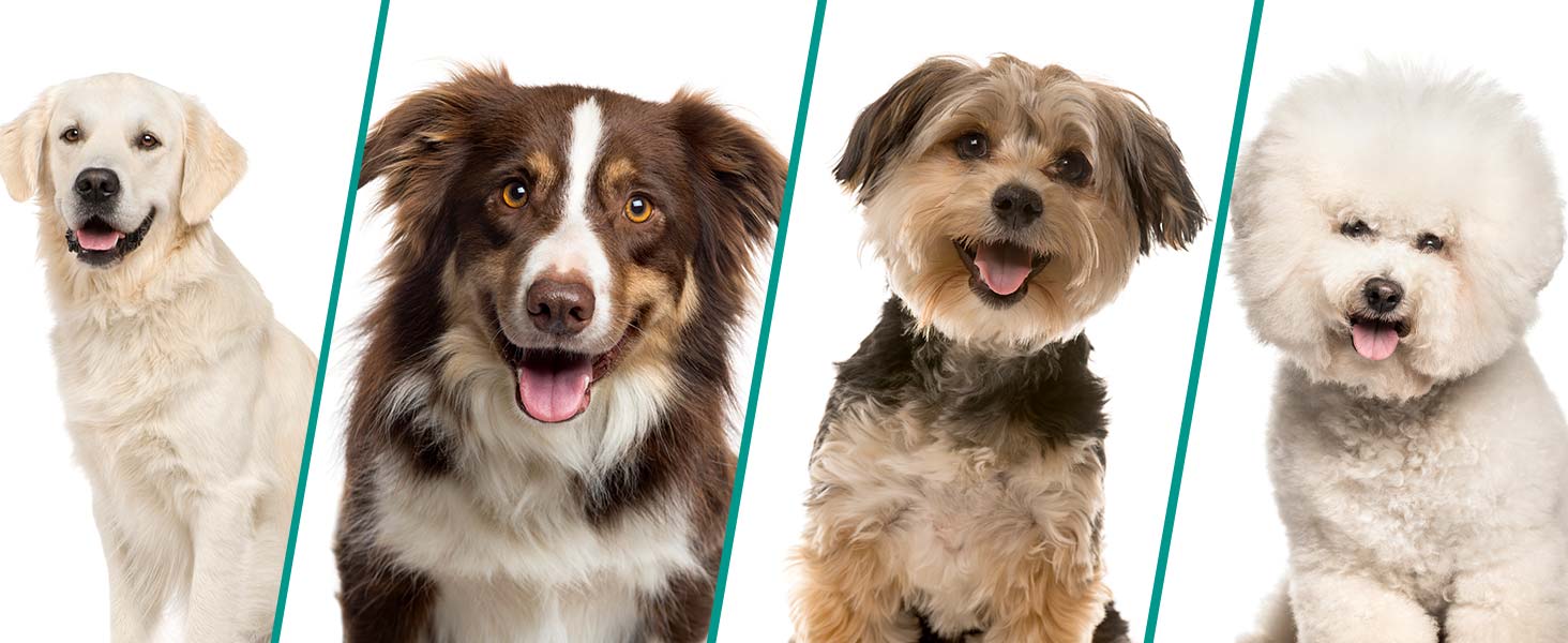 Набір для грумінгу Emmi-pet Grooming Kit Home – 6в1: машинка для стрижки собак, пилосос, тример, гребінець, 6 професійних насадок, 3 рівні всмоктування, догляд за собаками та котами, тихий мотор, контейнер 2.5л