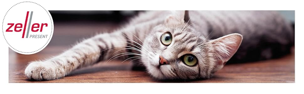 Миска для корму тварин Zeller 'Woof', метал, білий/блакитний, 23.4 x 16.2 x 23.2/25.8 см