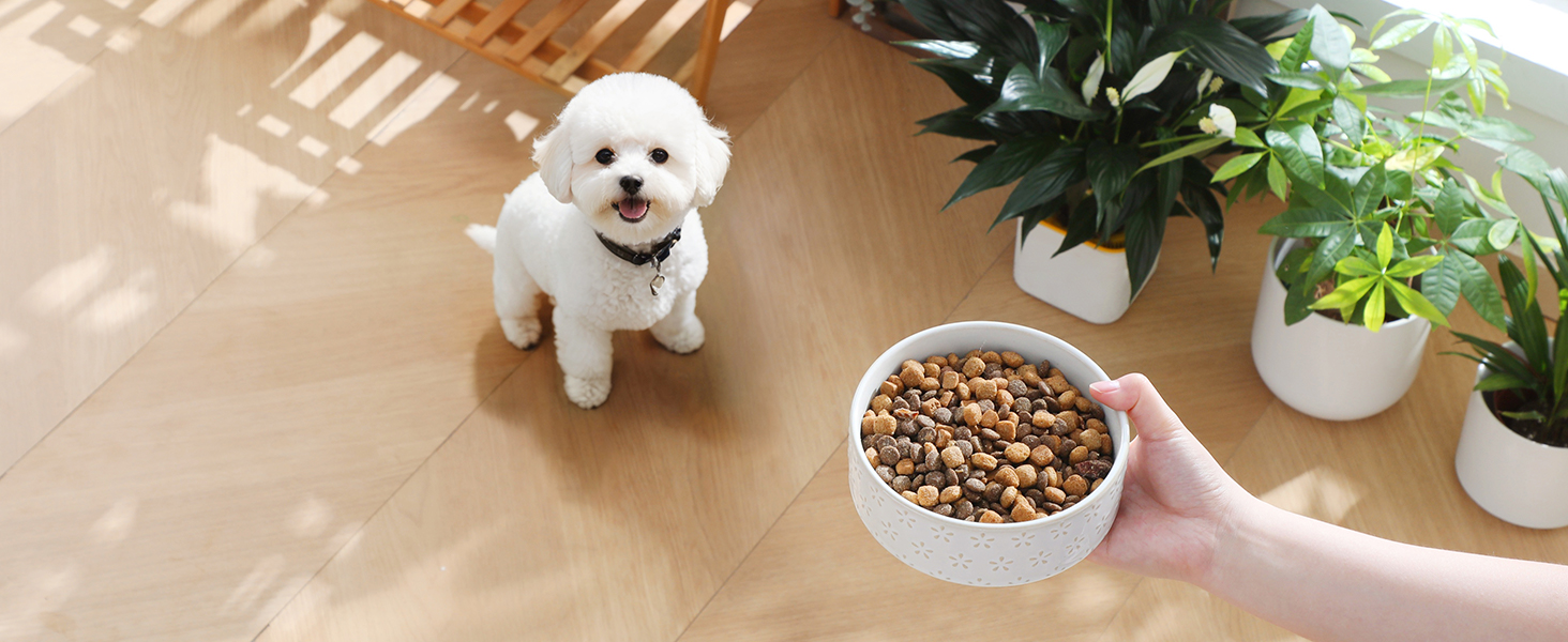 Миска для собак Malacasa з підставкою з горіхового дерева, 450 мл, подвійна миска для собак та котів, для корму та води, неслизька підставка, дизайн у стилі квітки та соти (450 мл, 1 шт.)