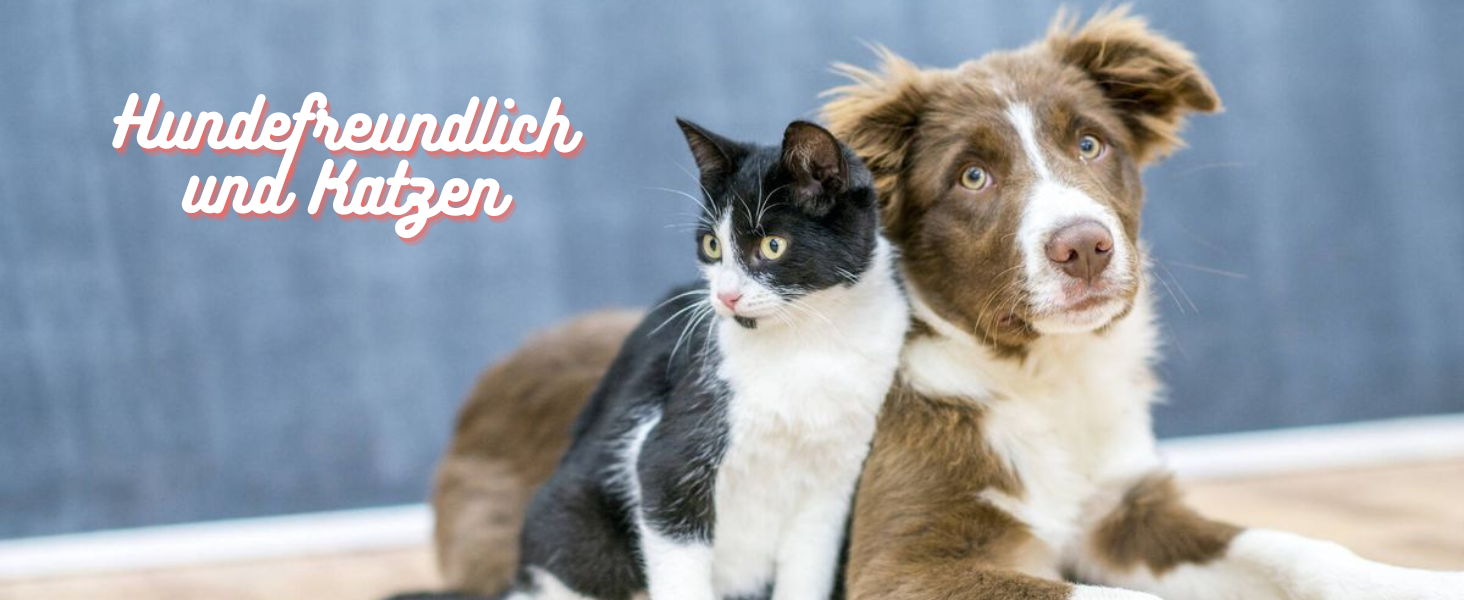 Набір для догляду за тваринами 9 предметів: щітка для собак та котів, очищувач лап, зубна щітка для пальців, обрізач кігтів, пилка для кігтів, гребінець для собак, рукавичка для догляду за котами, щітка для миття