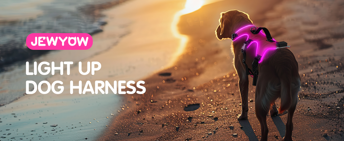Світловідбиваючий нашийник для собак з LED, перезаряджуваний, зручний, водонепроникний, для середніх та великих собак, зелений (рожевий, M)