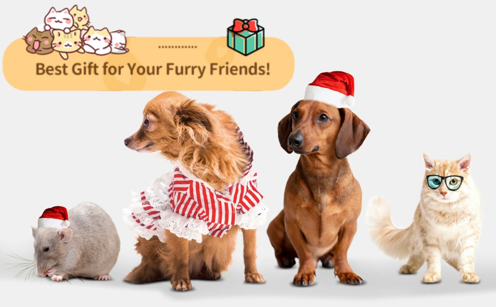 Набір мисок для котів (4 шт.) з пластику, для котів та дрібних тварин