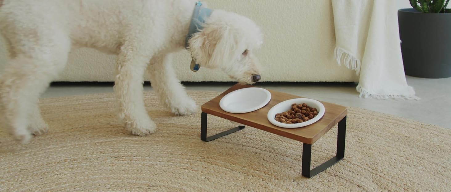 Підвищена годівниця для котів PETLINUS: керамічний та металевий набір, зручна годівниця для котів та маленьких собак, чорна