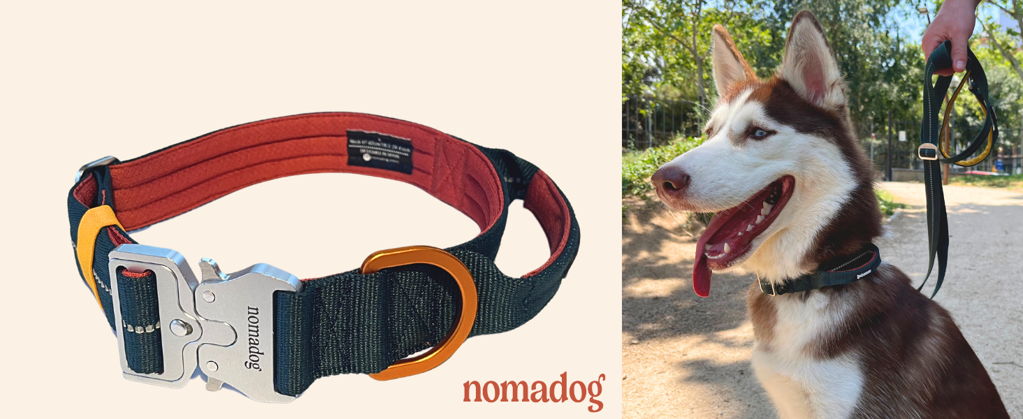 Нашийник для собак Nomadog Trailblazer з ручкою для великих собак - преміум алюмінієва застібка, міцний тактичний нашийник, регульований, з підкладкою, світловідбиваючий (L)
