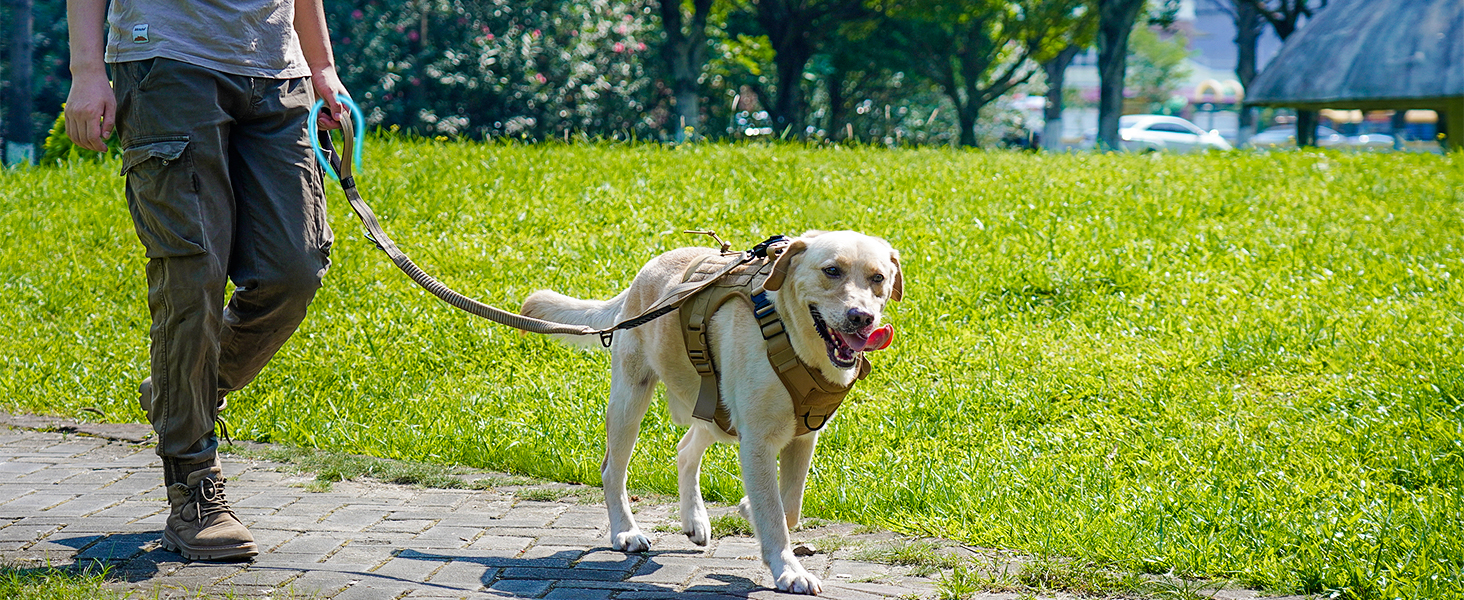 Тактична повідок для собак Joytale, 1.2м-1.8м, еластична (bungee), з 2 м'якими ручками, автофіксатор, без натягу для собак середніх, великих та екстра-великих порід, помаранчевий колір