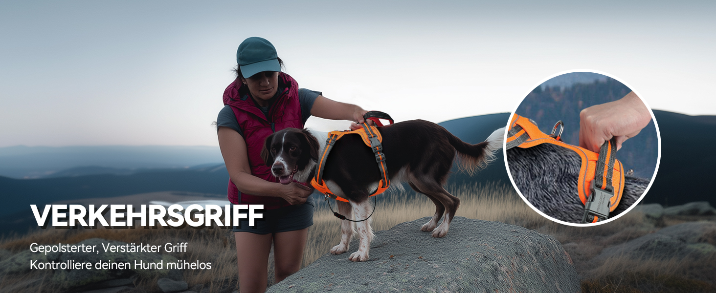 Шлейка для собак VIVAGLORY Easewalk, анти-тяга, для дресирування та прогулянок, з ручкою, не вислизає, для цуценят та собак, S, Sakura-Rosa, обхват грудей 36-61 см