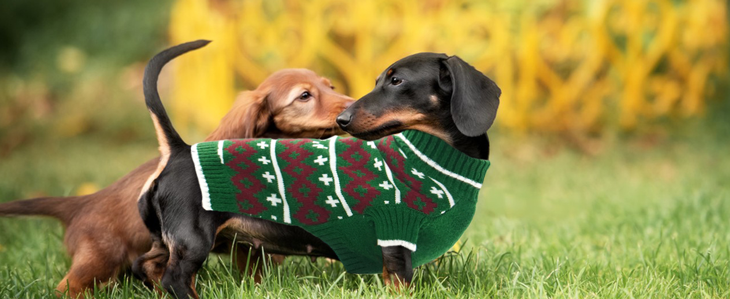 Теплий в'язаний зимовий пуловер для собак великих порід Katzinst | Зимовий пуловер для собак, Лабрадор, Доберман (Абрикосовий, 3XL)