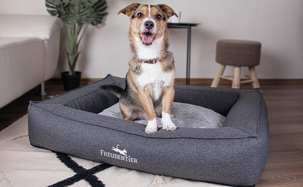 FREUDENTIER® Ортопедичне ліжко для собак | M-XXL | Прачне та легке у догляді | Преміум якість, Made in Europe | Для великих, середніх та маленьких собак (L 100x70cm)
