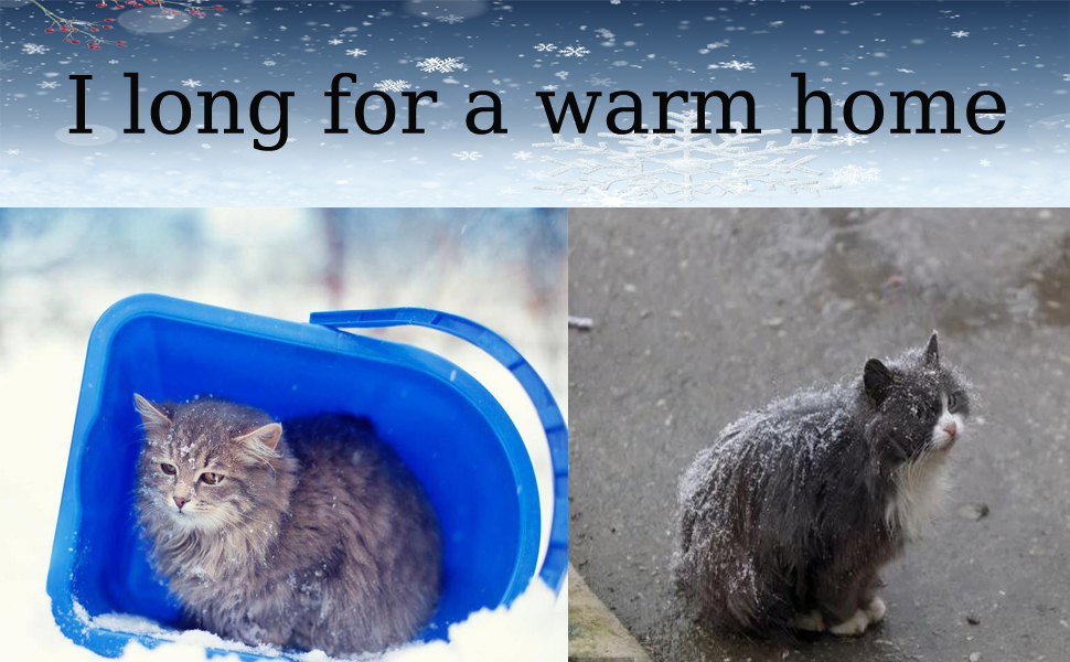 Кішковий будиночок Vinnypet для вулиці: зимостійкий, водонепроникний, теплий, знімний килимок, 40x38x35 см, чорний