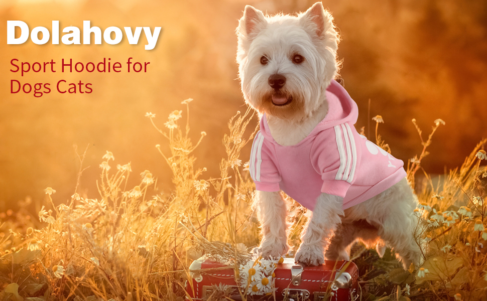 Теплий пуловер для собак на осінь/зиму: флісова куртка для чихуахуа, тедді та інших маленьких та середніх порід. Бавовняний одяг для собак та котів. Рожевий колір.