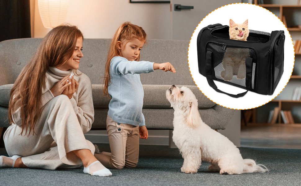 Транспортна сумка для кота та собаки 51x33x33 см. Складана переноска для тварин до 7,5 кг. Підходить для котів, собак, цуценят, маленьких та середніх порід. Ідеальна для подорожей на авто.