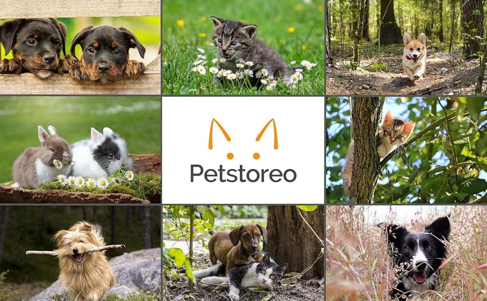 Професійний ножик для стрижки кігтів котів та дрібних тварин Simply Pets Online - Розроблено ветеринарами