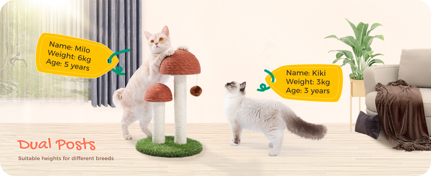 Кігтеточка PAWZ Road для кошенят та котів, кігтеточка-грибок з натурального сизалю, стимулює інстинкти котів