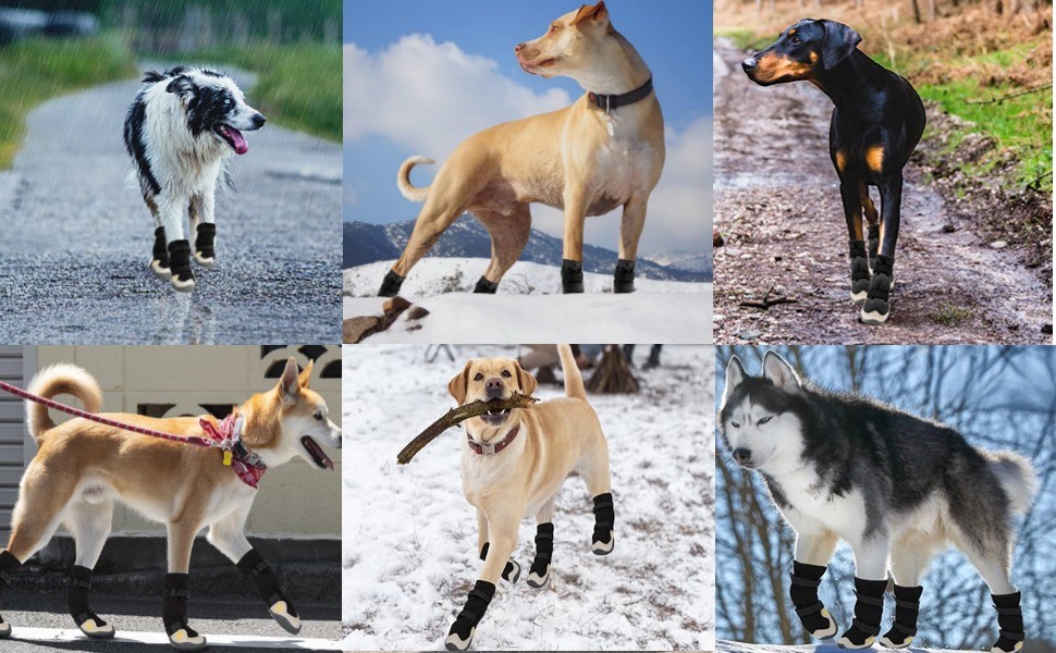 Чоботи для собак: захист подушечок лап [4 шт.], водонепроникні та дихаючі, з неслизькою підошвою та світловідбиваючим кріпленням. Підходять для малих, середніх та великих собак. Зручні чоботи для прогулянок на вулиці.