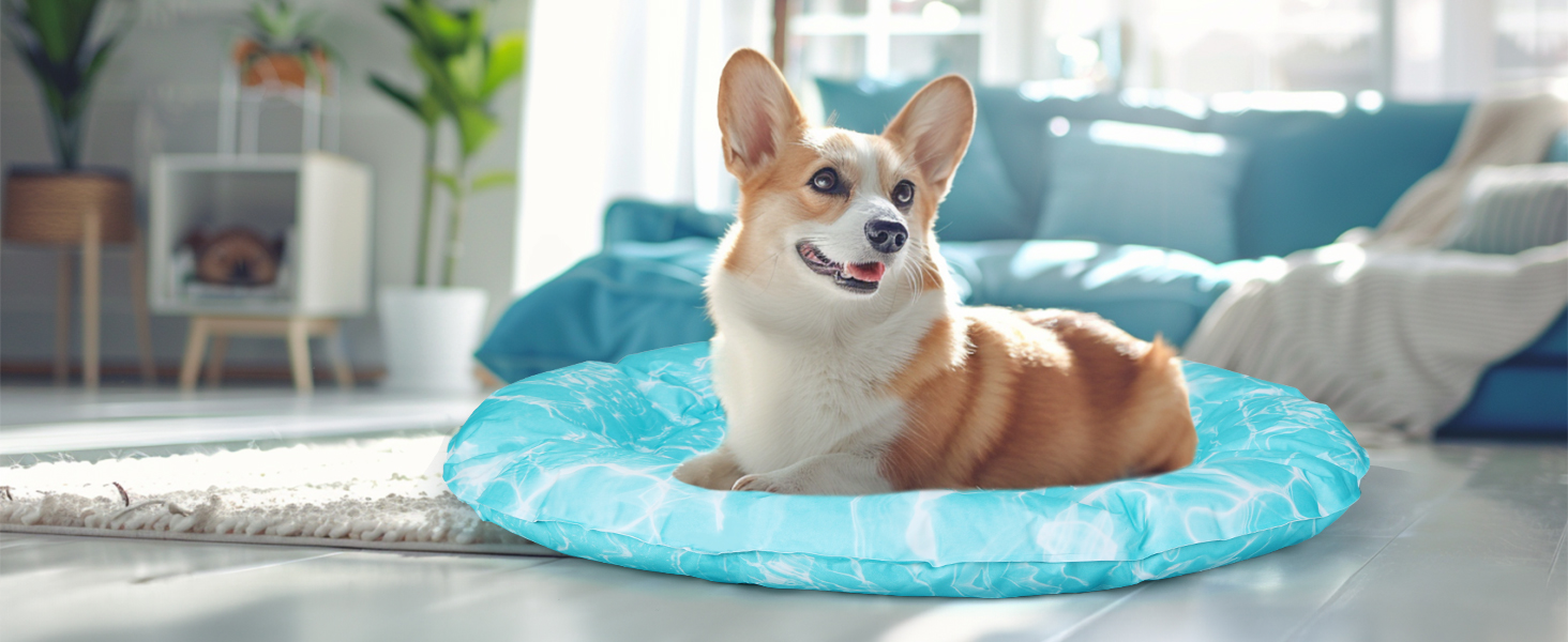 Кühlmatte Hunde Katzen Orbicular: Охолоджуючий килимок для собак та котів, розмір M, 72x72x5 см