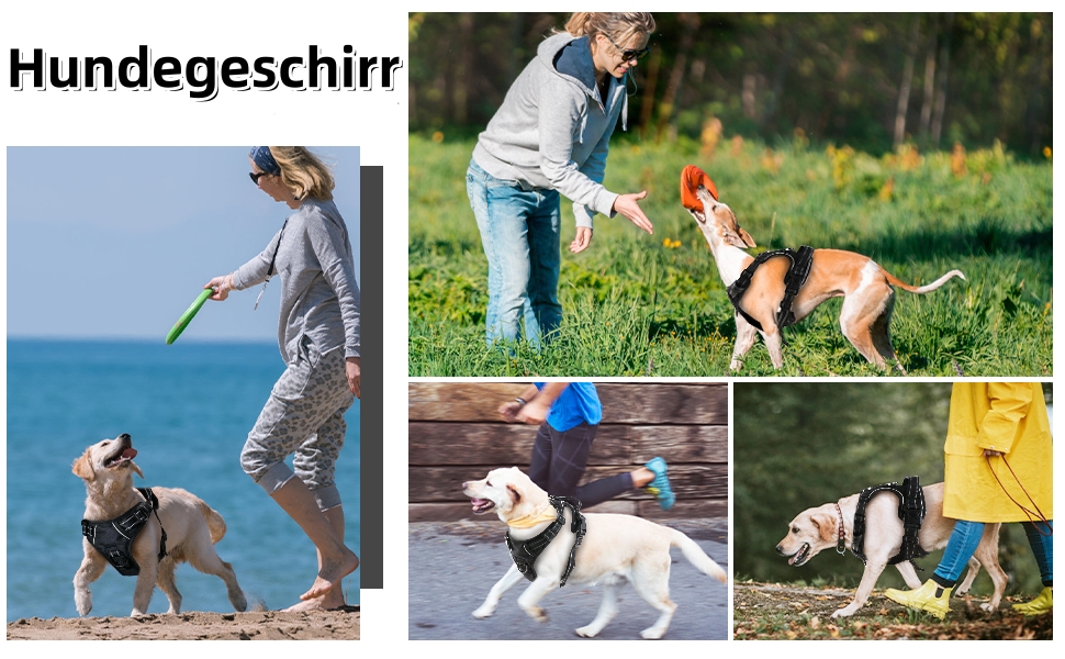 Нашийник для собак BaoCheng Anti Pull, дихаюча сітка, 3 пряжки, безпека, полегшення кашлю, світловідбиваючий, M, темно-зелений