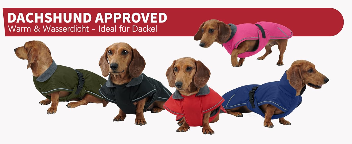 Зимовий теплий накид для такси, чорний L. Водонепроникний, з захистом живота та отвором для повідка. Ідеальний для великих собак.