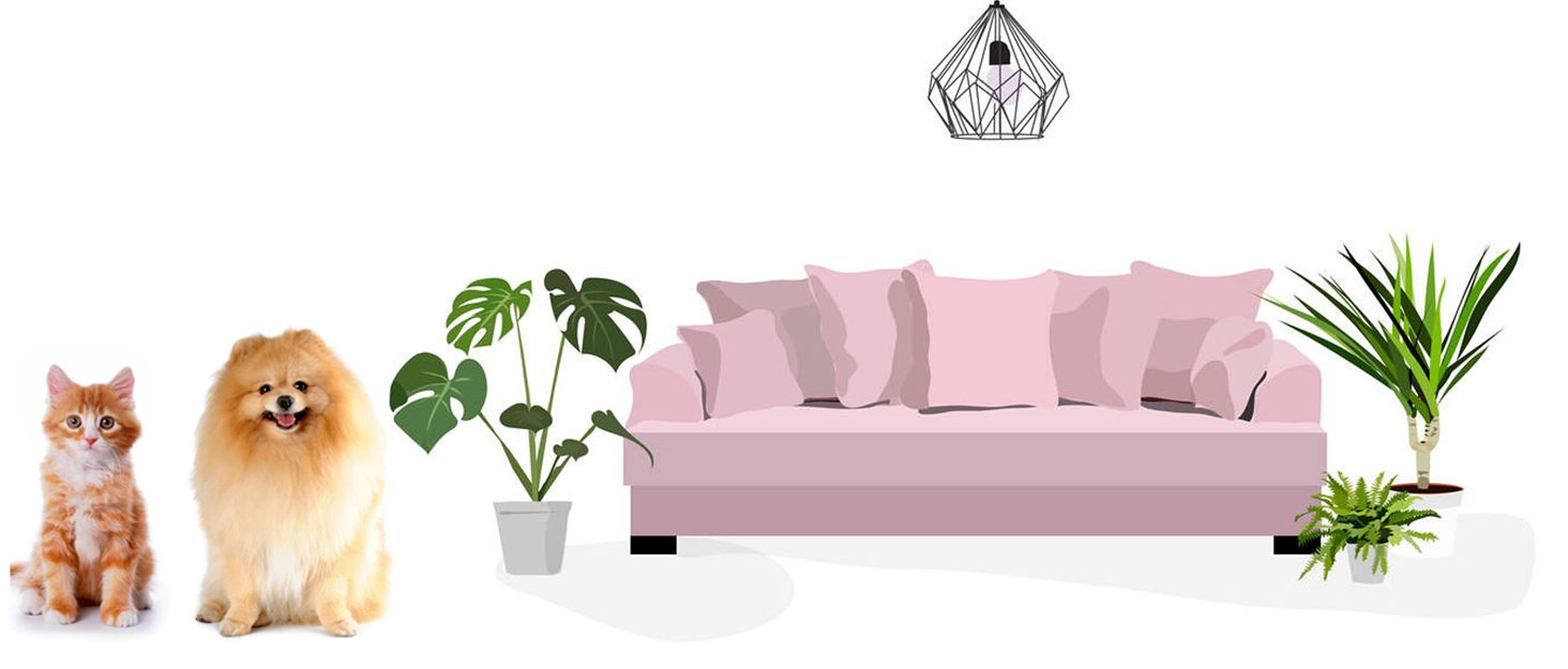 CEASELESLY Набори мисок для собак з нержавіючої сталі, 2 шт по 400 мл, з підставкою з силікону, для собак середніх та маленьких порід, котів та цуценят, сірий колір