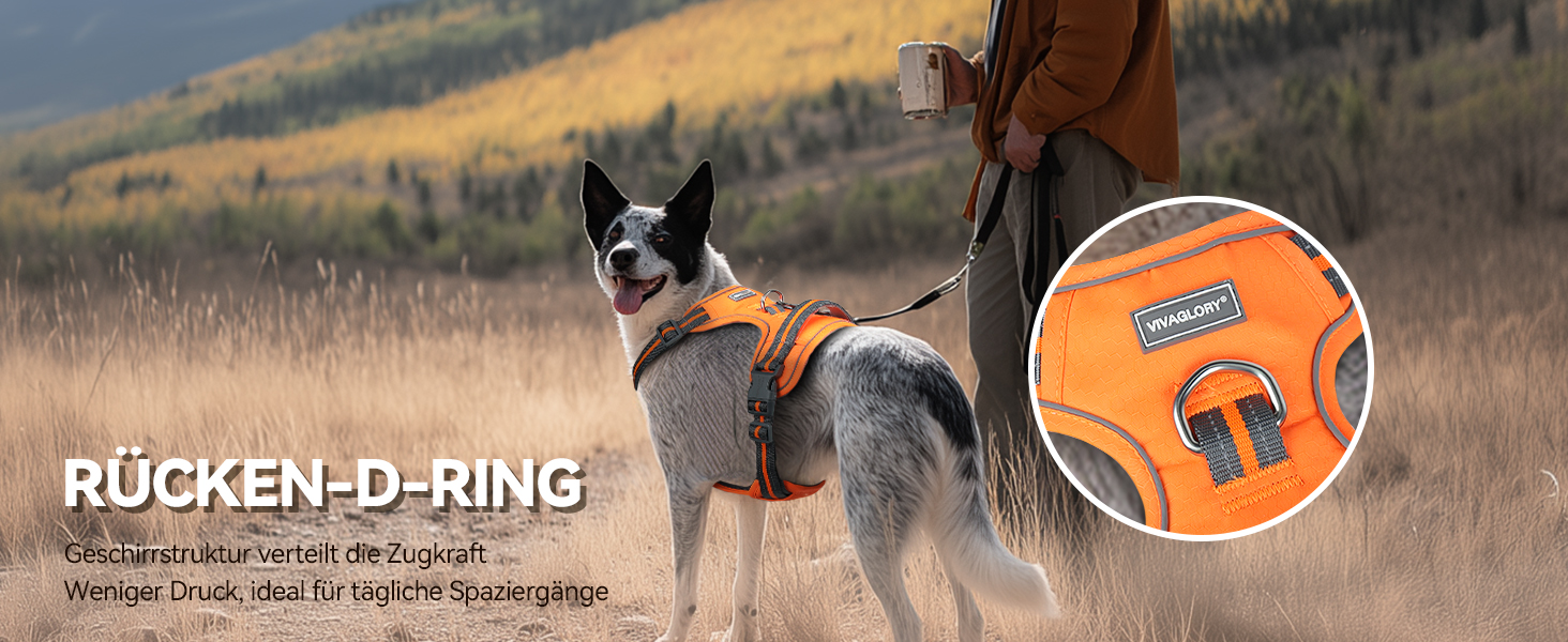 Шлейка для собак VIVAGLORY Easewalk, анти-тяга, для дресирування та прогулянок, з ручкою, не вислизає, для цуценят та собак, S, Sakura-Rosa, обхват грудей 36-61 см