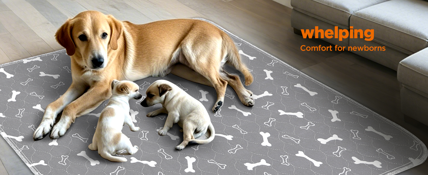 Підкладки для тварин Baodan, 2 шт. 90x60 см, водонепроникні, багаторазові, для собак, котів, кроликів