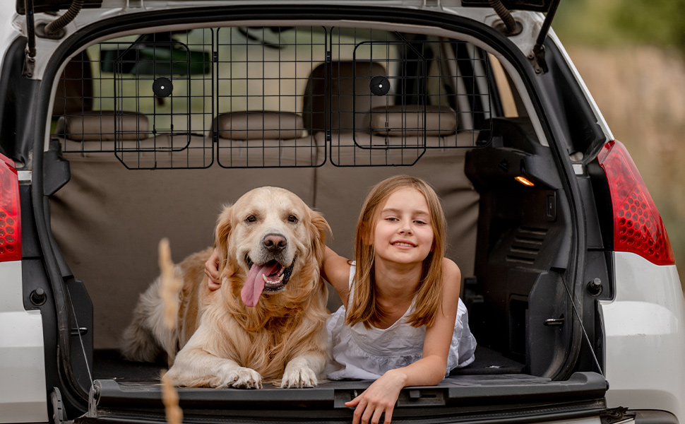 Сітка для собак PawHut - бар'єр у багажник авто, сталева, 93-150 x 42 см