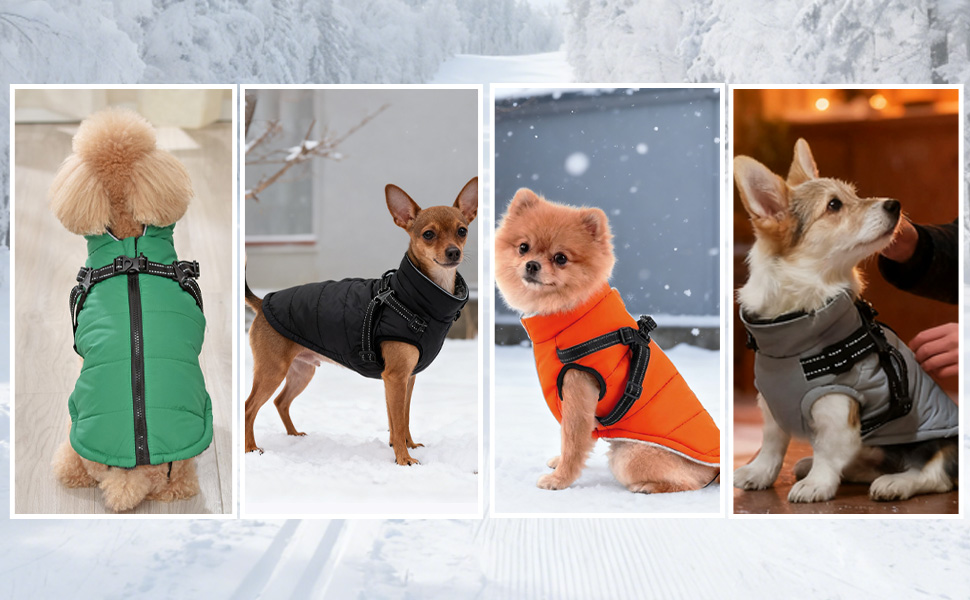 Зимовий одяг для собак ZoneYan, чорний, XS: теплий, водовідштовхуючий, з регулюванням та світловідбиваючими елементами