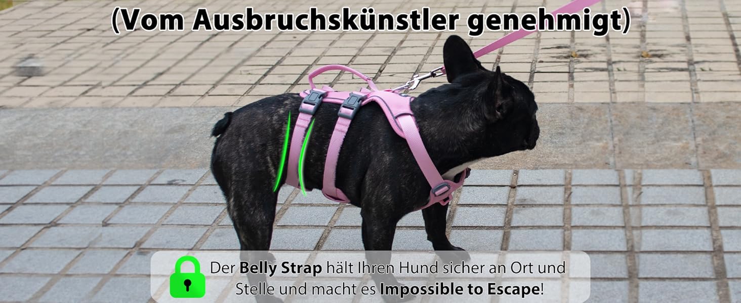 Нашийник для собак Wuffley з повідком, безпечний нашийник від вислизання, анти-тяговий нашийник з ручкою та світловідбиваючими елементами, легкий, регульований нашийник для середніх собак (рожевий, XS) Дуже маленький рожевий