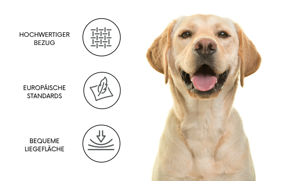 Крісло-ліжко для собак XL 105 x 80 см, сірий, знімний велюровий чохол та м'якою підстилкою, 105 x 80 x 19 см