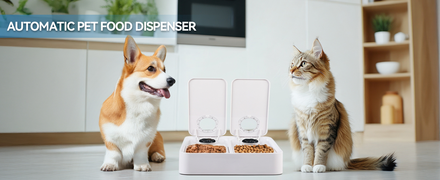 Автоматичний диспенсер для котячого корму ALL FOR PAWS: 2 порції, підходить для сухого та вологого корму, з таймером на 48 годин, миється в посудомийній машині