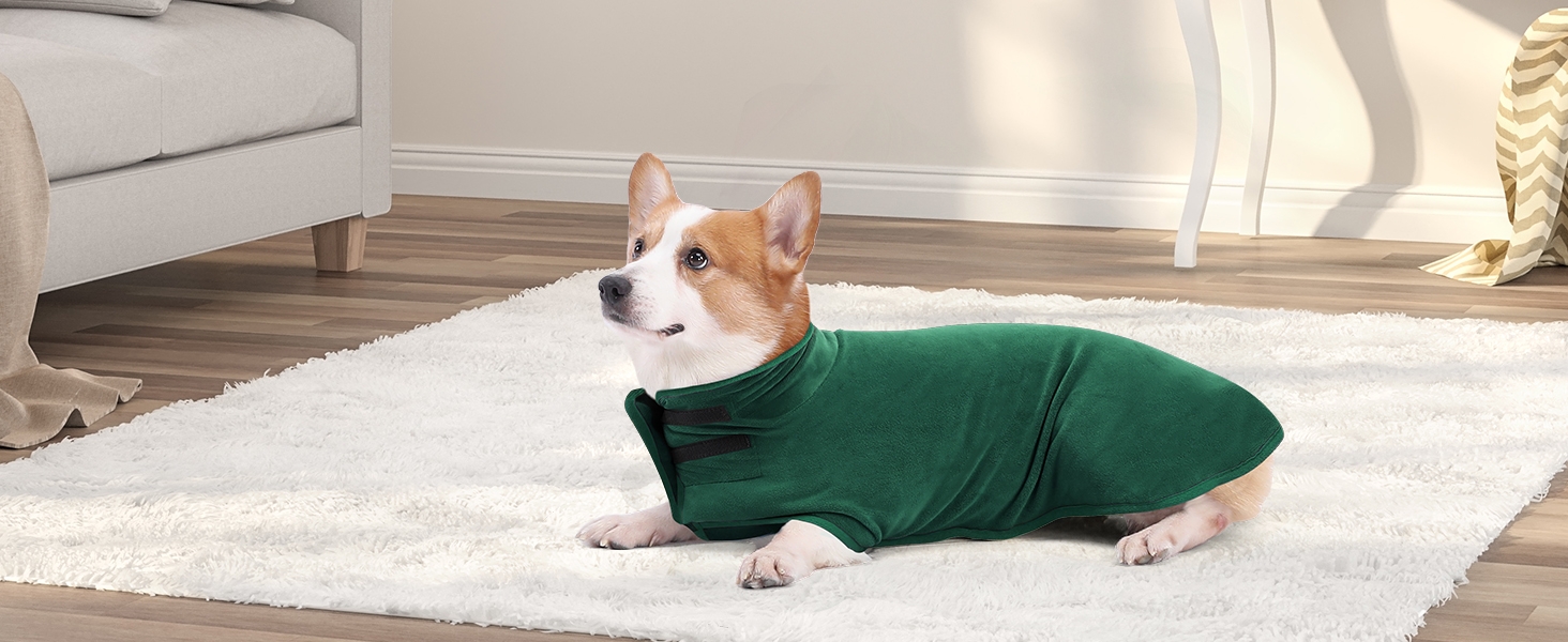 Рушник для собак PETTOM, мікрофібра, швидковисихаючий, для великих собак (M, зелений)