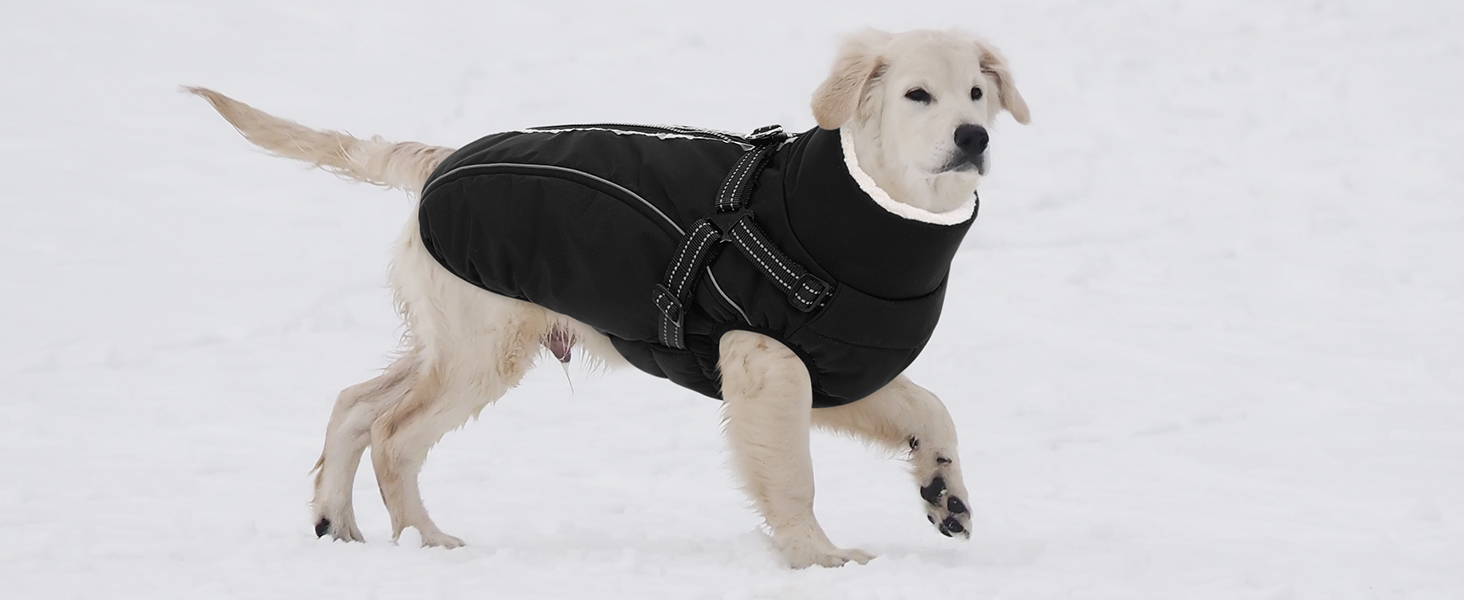 Теплий зимовий одяг для собак Citétoile: куртка з блискавкою, вітрозахисна, з відбиваючими смугами та нагрудником (сірий, M)