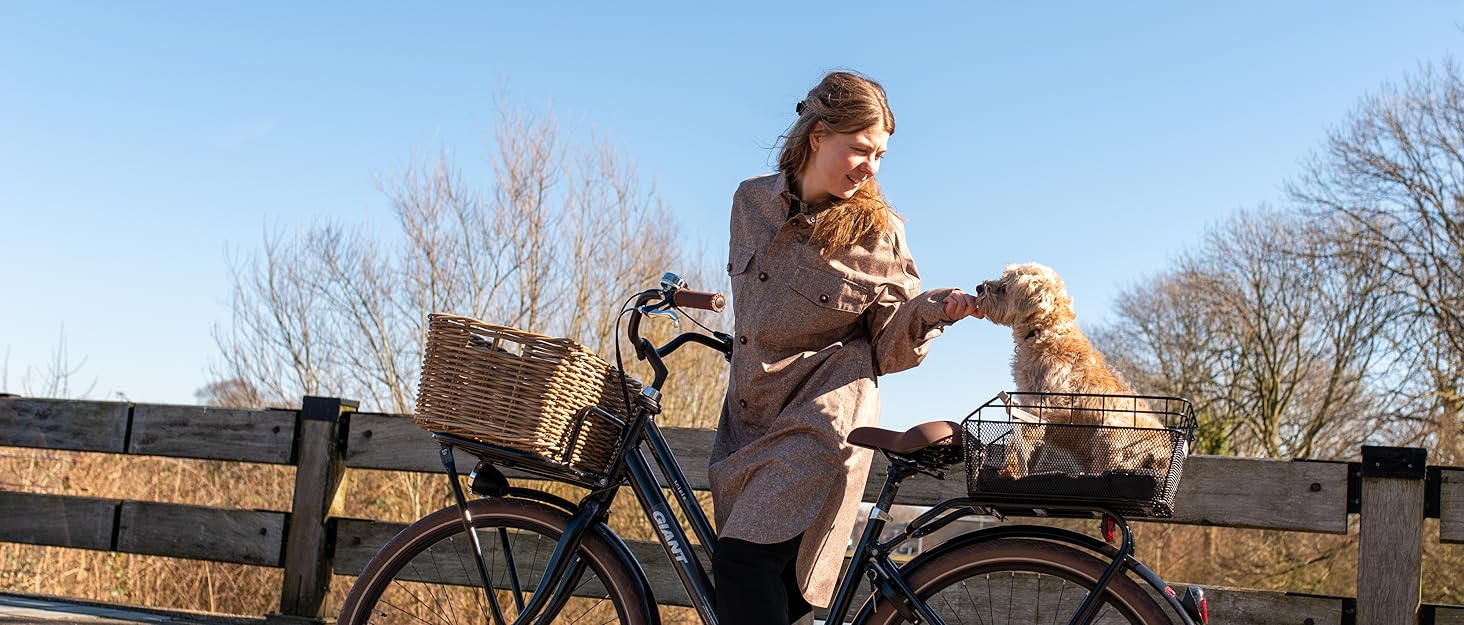 Кошик для велосипеда FAST RIDER Fastrider Jale Dog 57L, Натуральний колір