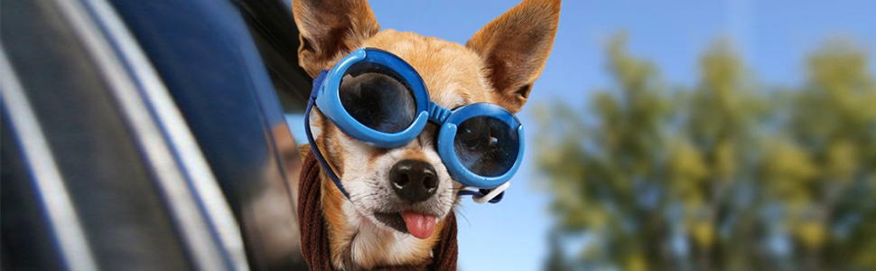 Захисний чохол на сидіння авто для собак, 136x119 см, чорний, нейлон. З щіткою для чищення та сумкою. Підходить для більшості авто та SUV.