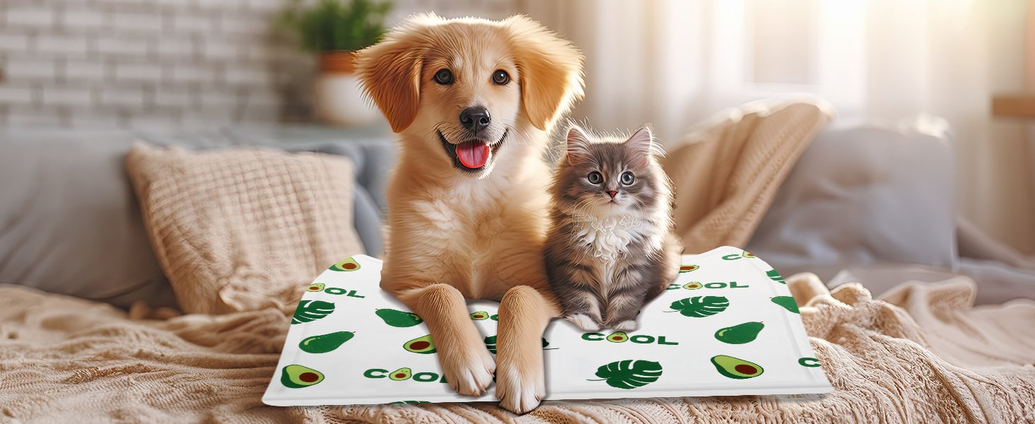 Кілим-охолоджувач для собак та котів Ninonly 50 x 65 см - самоохолоджуючий, водонепроникний, з нетоксичним гелем (Авокадо)