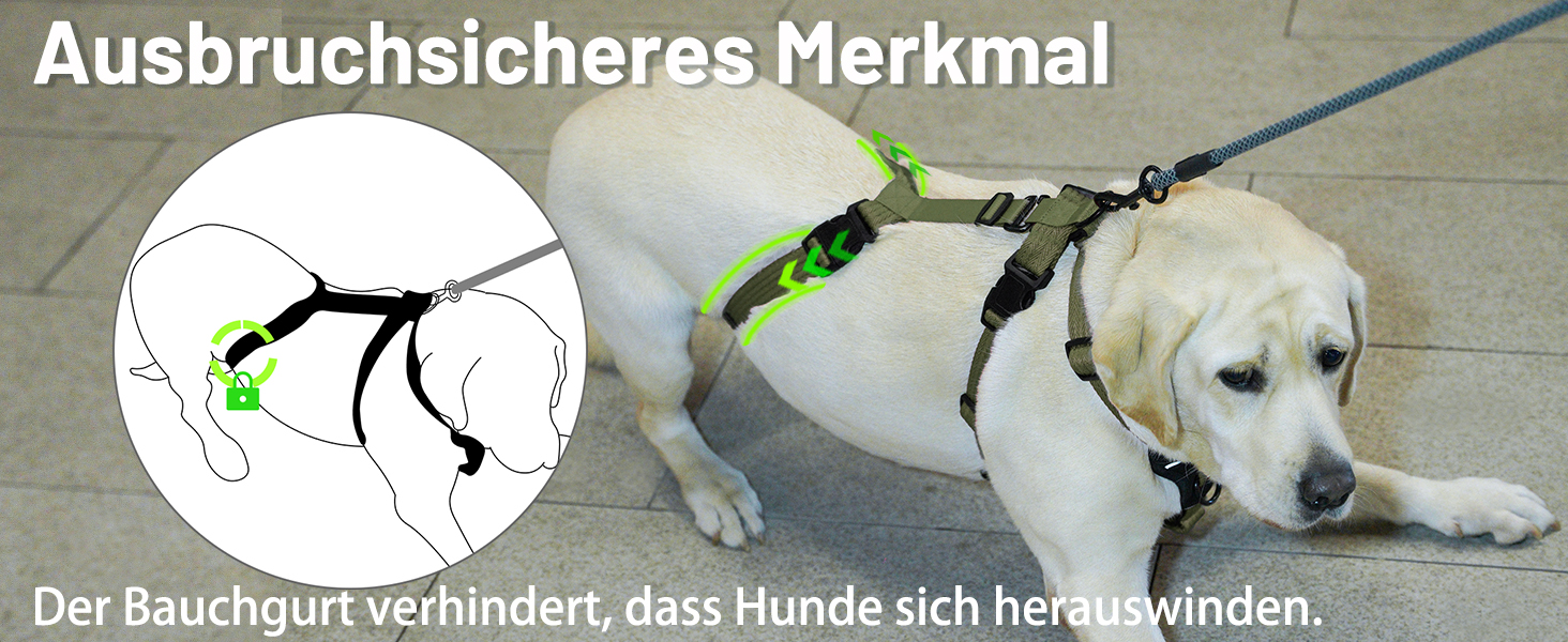 Шлейка для собак Paworld, анти-тяга, шлейка від паніки, анти-вислизання, регульована, дихаюча жилетка для собак маленьких, середніх та великих розмірів (XL) Extra Large (упаковка 1), колір: зелений