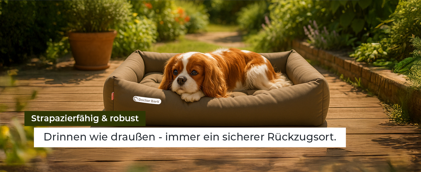 Ортопедичне ліжко для собак Doctor Bark - миється до 95°C, гігієнічне, без запаху, з м'яким коржем для собак середніх порід (M - 80x70 см, світло-сірий)