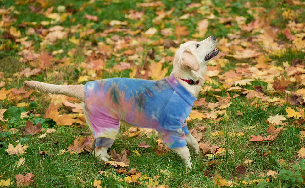 Зимовий теплий жилет для собак, куртка-комбінезон на 4 лапи, вітронепроникний одяг для собак, жилет, куртка, одяг для собак, сорочка для маленьких, середніх та великих собак (Райдуга, M)