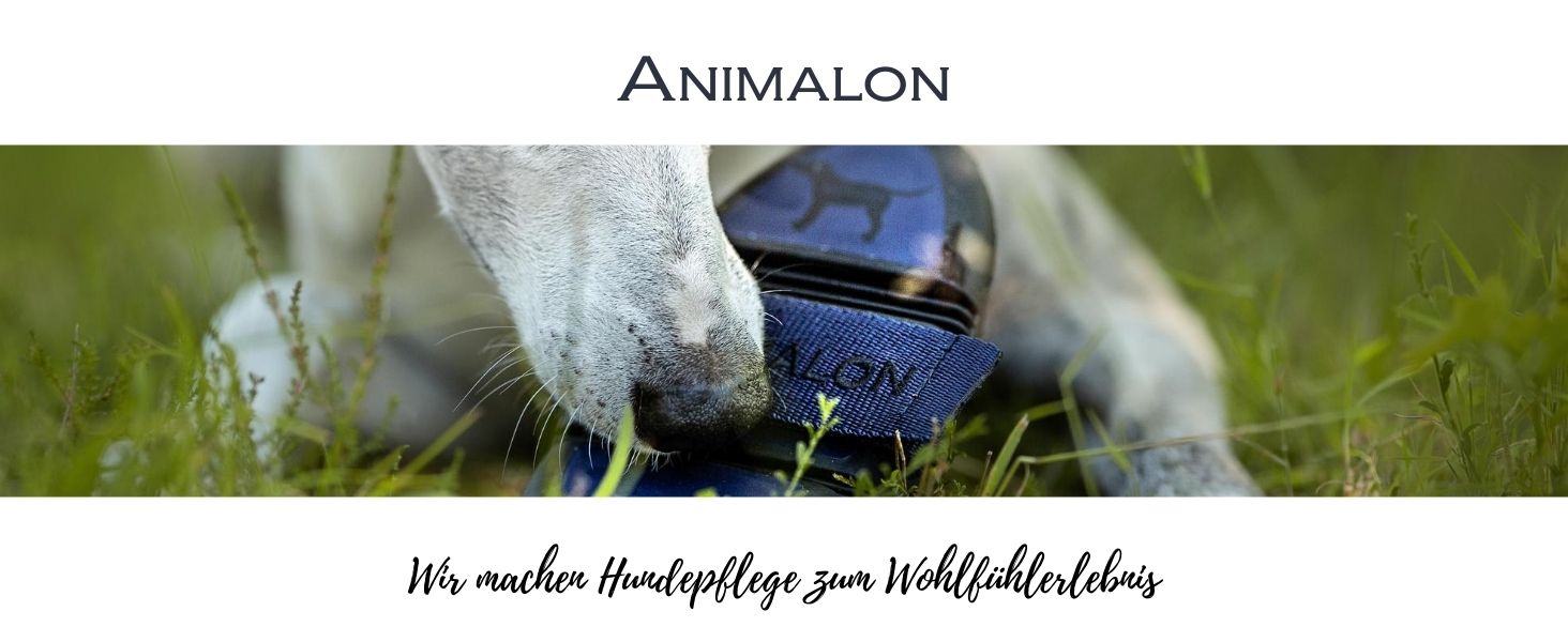 Штрикер Animalon Kurzhaar для собак: допомога при линянні, штрикер для короткошерстих собак, інноваційна щітка для дбайливого догляду за шерстю (маленький, блакитний)