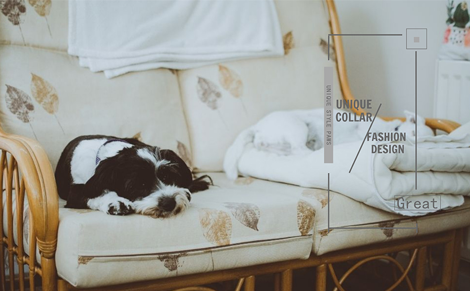 Елегантний нашийник для собак та котів з краваткою, стильний аксесуар для тварин, розміри S, M, L, XXS-XL