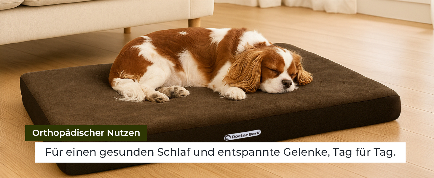 Ортопедичний матрац для собак Doctor Bark з флісовою поверхнею, великий (100x70 см, сірий)