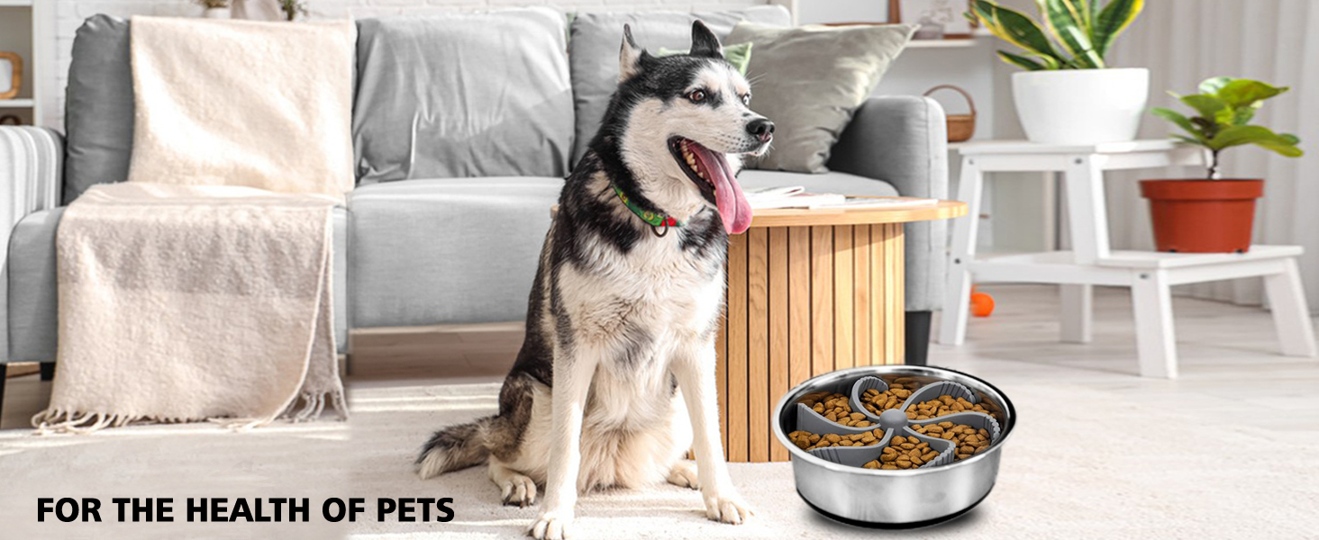 Миска для собак Slow Feeder з гелевою вставкою: запобігає ковтання, для здорового травлення, великі напувачки для собак