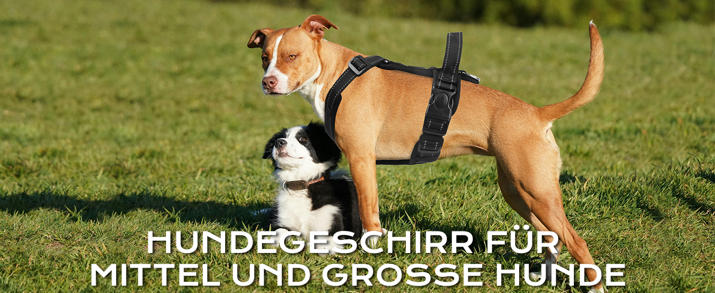 Нашийник для собак XL фіолетовий - зручний, світловідбиваючий, анти-тяга, з ручкою, для собак середніх порід